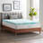 4'' Mattress Topper-1683865999