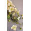 SPRAY D'HYDRANGEA-1451197373