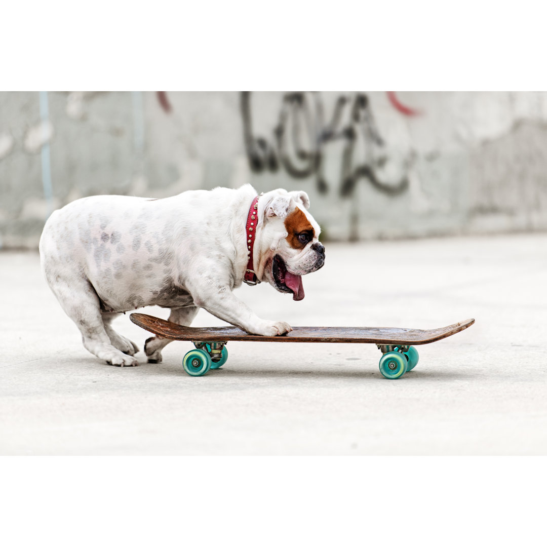 Hund Skateboarding von Lisegagne - Kunstdrucke ohne Rahmen auf Leinwand