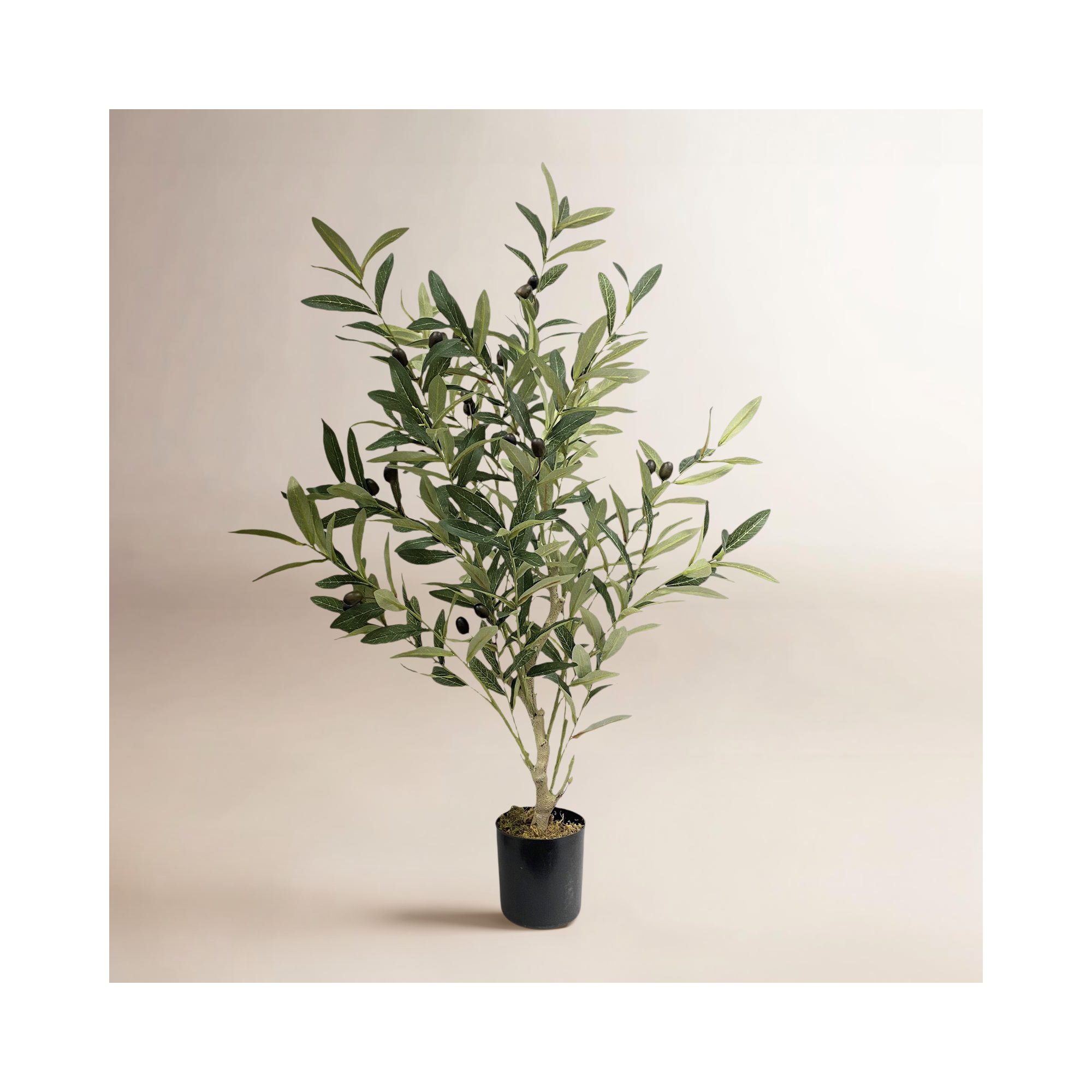 32'' Plant