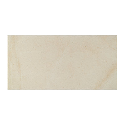 Westvale Westvala 24 in. x 48 in. x 0.79 in. Matte Porcelain Stone Look Paver (8 sq. ft./unit, 1 Piece)