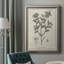 «Antique Black & White Botanical VIII», reproduction d'art sur toile encadrée-1545731141