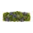 Assorted Sedum and Moss Arranged in Wood Planter-774719494
