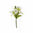 Blanc, vert sélectionné