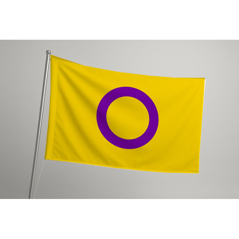 Drapeau Intersex Pride - drapeau extérieur, H 36 po x l 60 po