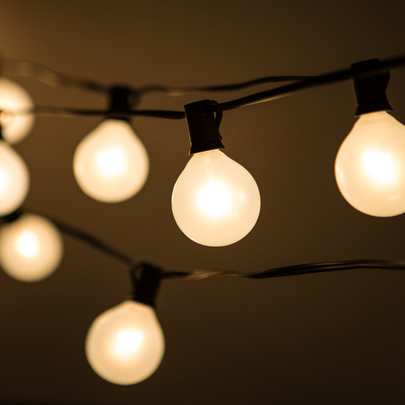 Conness Outdoor 50 - Bulb 50'' Plug-in Globe String Light, Black