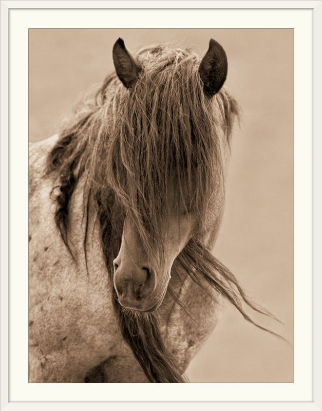 «Kemani Freedom» Lisa Dearing, reproduction de photo, H 32 po x l 26 po x P 1 po, Cadre blanc