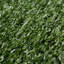 Symple Stuff Outdoor UV Resistant Artificial Grass Turf Rug / Roll-1541083121