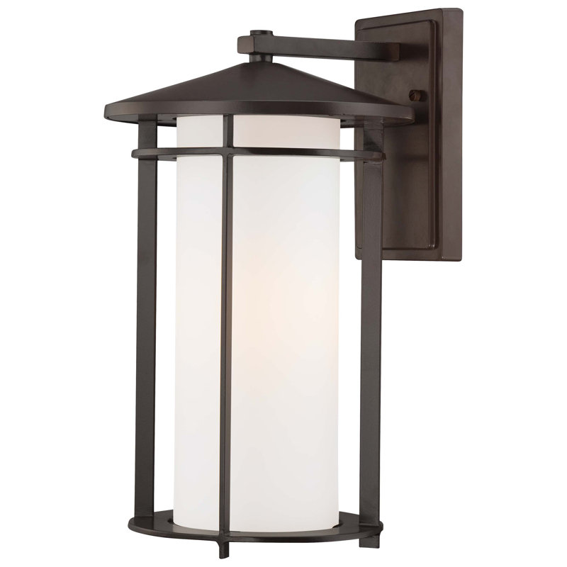 Lanterne murale d’extérieur 1 lumière Bradshaw, H 16,25 po x l 9,5 po x P 10,5 po