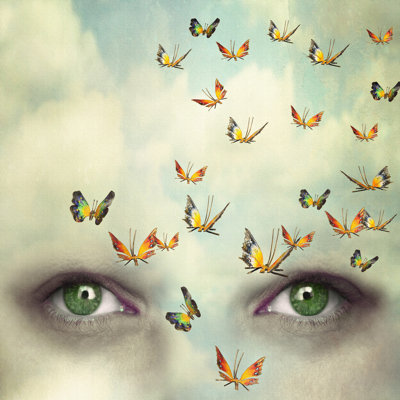 Mind Flying - Wrapped Canvas Print