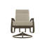 Belle Isle Outdoor Lounge Chair-1556701397-1556701406