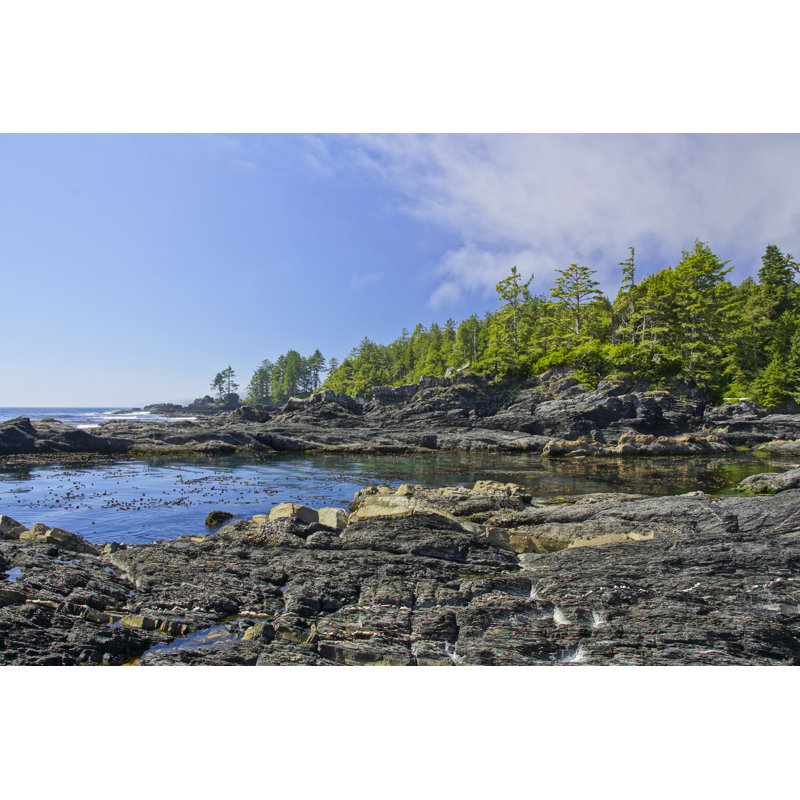 Botanical Beach - Wrapped Canvas Print, 30cm H x 46cm W x 3.8cm D