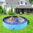 Foldable Dog Pool-39923581-39949493
