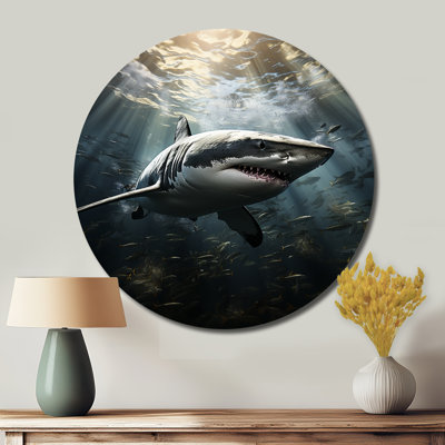 Grey Shark The Majesty - Animals Round Metal Art