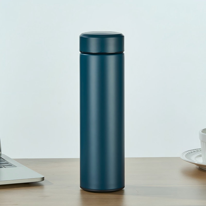  Bouteille d'eau isotherme, 17 oz en acier inoxydable thermo, bouteille d'eau sous vide à double paroi, bouteille d'eau en métal, pour café, boissons