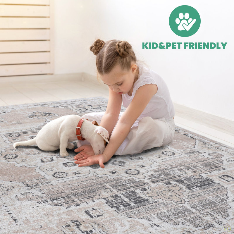 6X9 Medallion Area Rug Stain Resistant, Non-Shedding, Friendly For Living Room, Bedroom, Dining Room And High-Traffic Areas