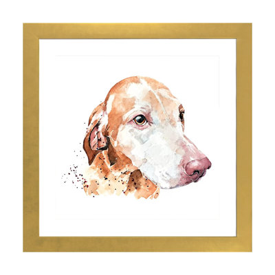 " Sugar Face Vizsla " by EdsWatercolours