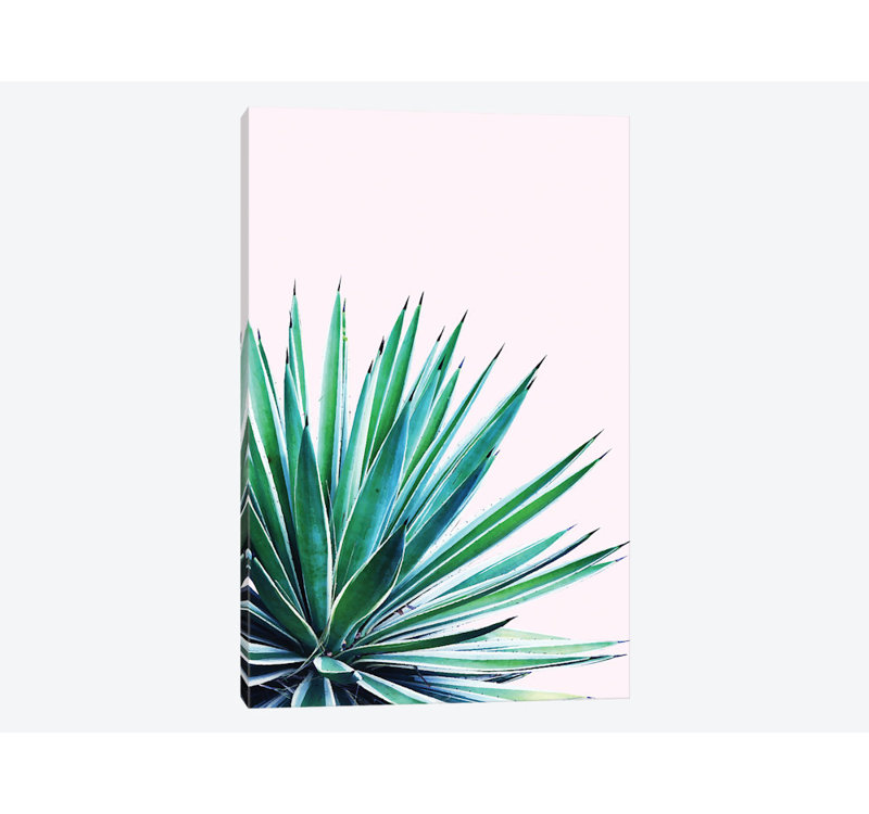 « agave love »-impression sur l’image, H 60 po x l 40po x P 1,5 po, Toile tendue