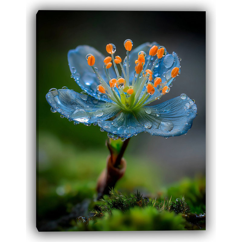 Art mural sur toile Whispers of Dew