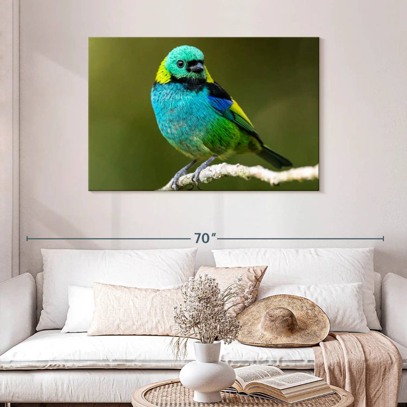 Brampt Green Headed Tanager, 30" H x 45" W