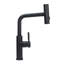Belfry Kitchen Pull Down Kitchen Faucet