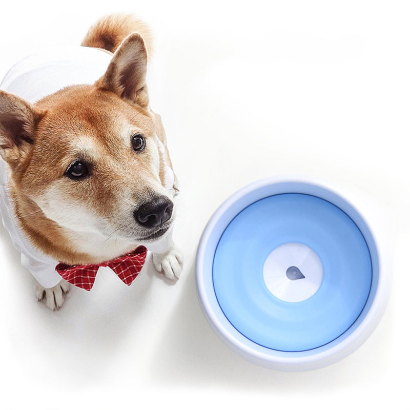 Blue and White Anti-Spill Floating Pet Water and Food Bowl