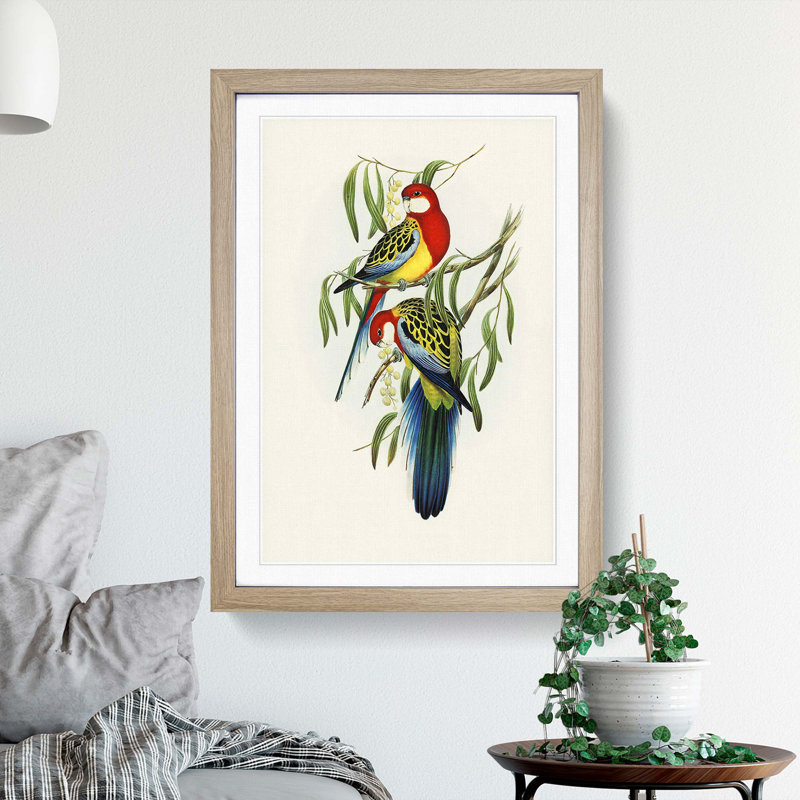 Rose-Hill Parakeets by Elizabeth Gould - Picture Frame Graphic Art Print, 60cm H x 40cm W x 2cm D, Oak