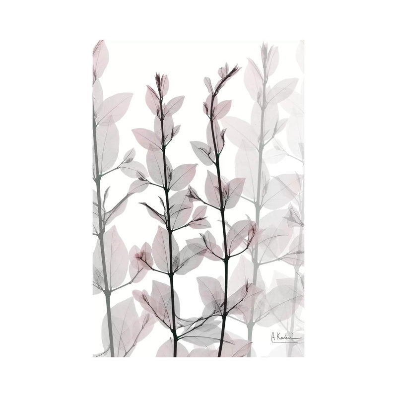 Plentiful Embrace III by Albert Koetsier - Wrapped Canvas Print, 20.32 cm H x 30.48 cm W
