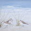 «Blue Coastal - Floater Frame», reproduction d'art sur toile