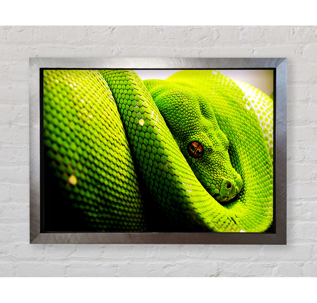 Green Snake Huddle - Einzelner Bilderrahmen Kunstdrucke