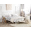 Lynx Metal Bed-41986605-41986606