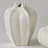 Star Fruit Vase-64402281