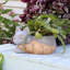 Pot à fleurs d'intérieur en céramique Toppino Fox - 12 po x 7 po x 8 po