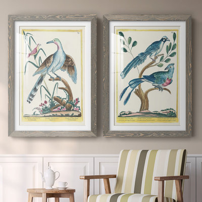 «Pastel Birds V-Premium», reproduction encadrée prête à être accrochée
