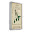 Linnaean Botany II - peinture sur toile encadrée-984661076-984661033