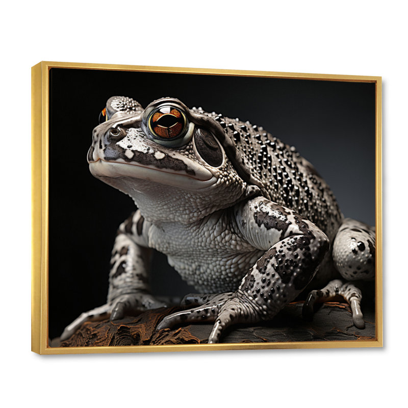 «Frog Portrait I», reproduction d'art sur toile, H 16 po x l 32 po, Cadre flottant doré