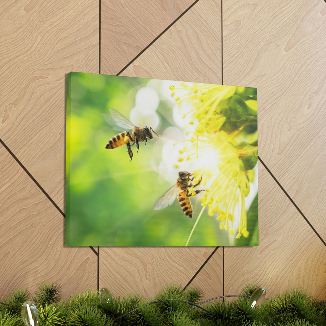 No Frame Print on Canvas