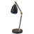 Euan Adjustable Metal Architect Lamp Lamp