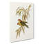 Musky Lorikeets by Elizabeth Gould - Wrapped Canvas Painting-55360212