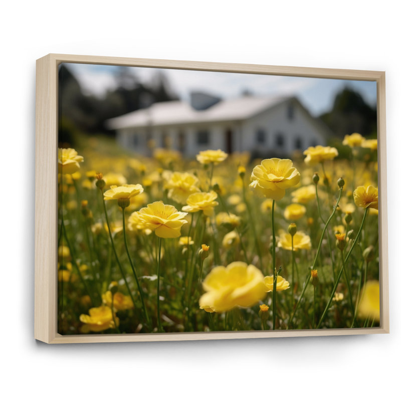 «Yellow Buttercups At The Farm II», reproduction sur toile, H 12 po x l 20 po x P 1 po, Cadre naturel flottant