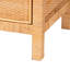 Cejda Rattan and Mahogany Solid Wood Accent Cabinet