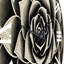 Horloge murale succulente Minimal en noir et blanc I-93382939