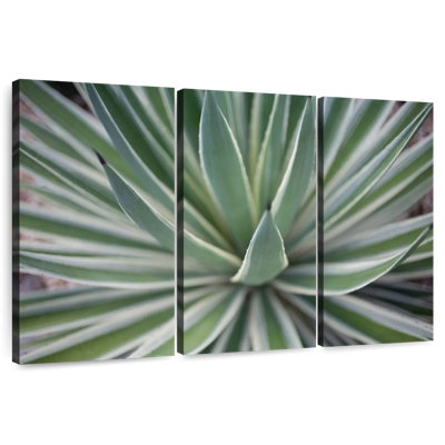 Harnek Where The Cactus Grows II