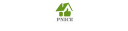 Punice logo