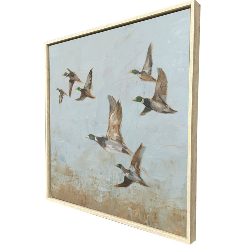 Equestrian III Framed Print
