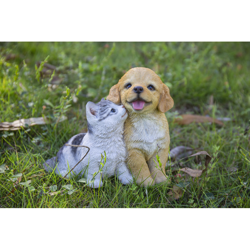 Golden Retriever et chaton