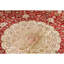 Silk Oriental Area Rug