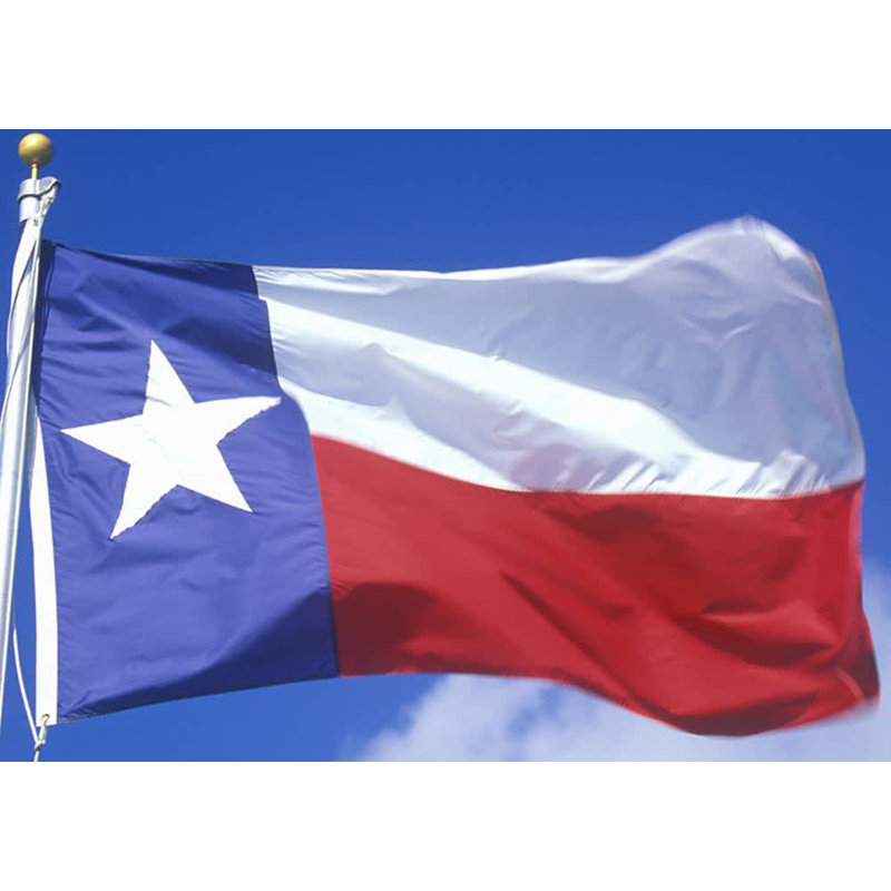 Drapeau d'État, Nylon, 48 po x 72 po, Texas