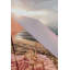 Beach Blanket-1165760385