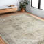 Tapis oriental gris Appolonie-2055905005
